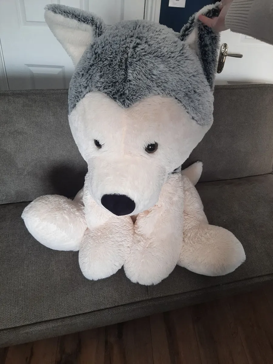 Giant teddy husky - Image 1