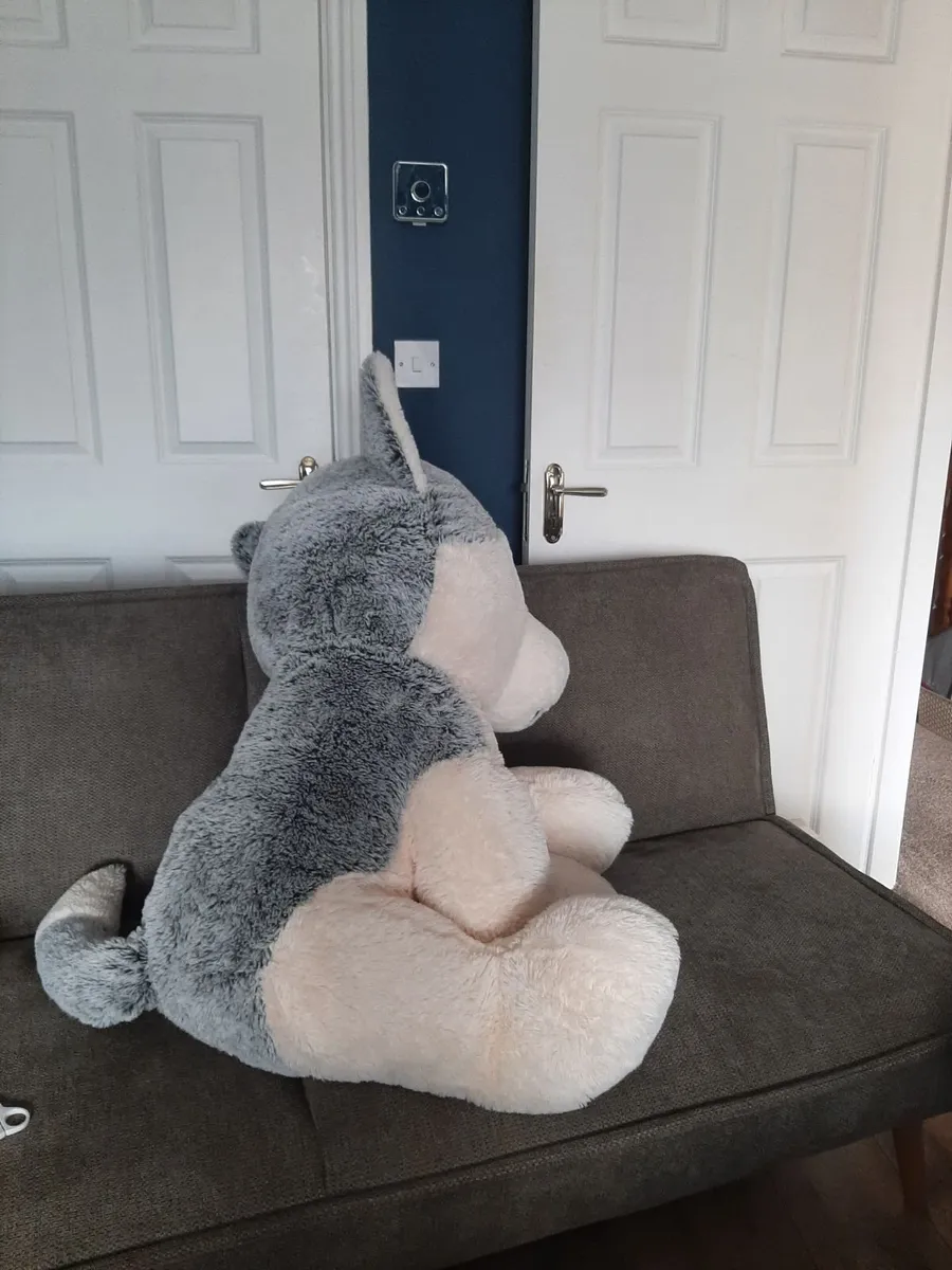 Giant teddy husky - Image 3