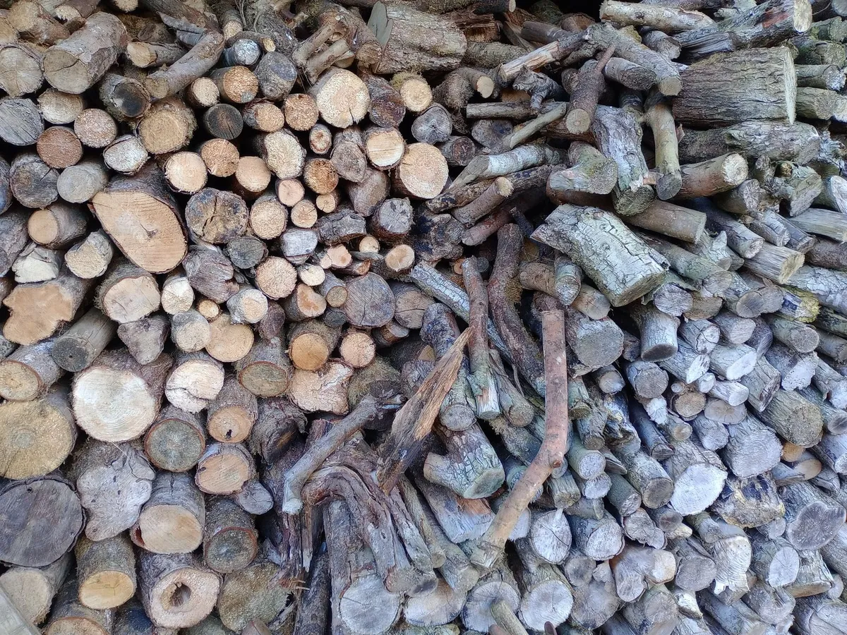 Seasoned firewood tonne bag – Sticks - Hardwood - Image 4
