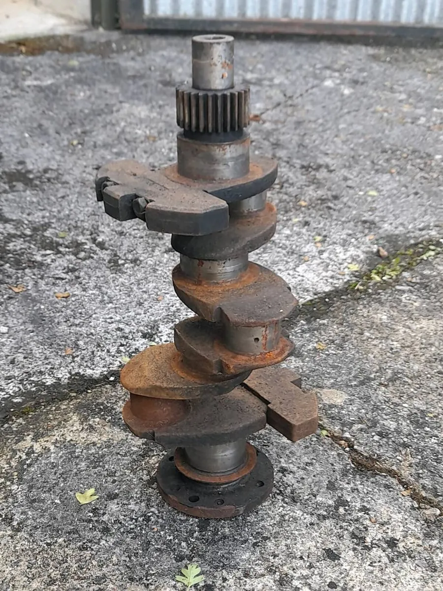 Dexta engine block + Crankshaft - Image 2