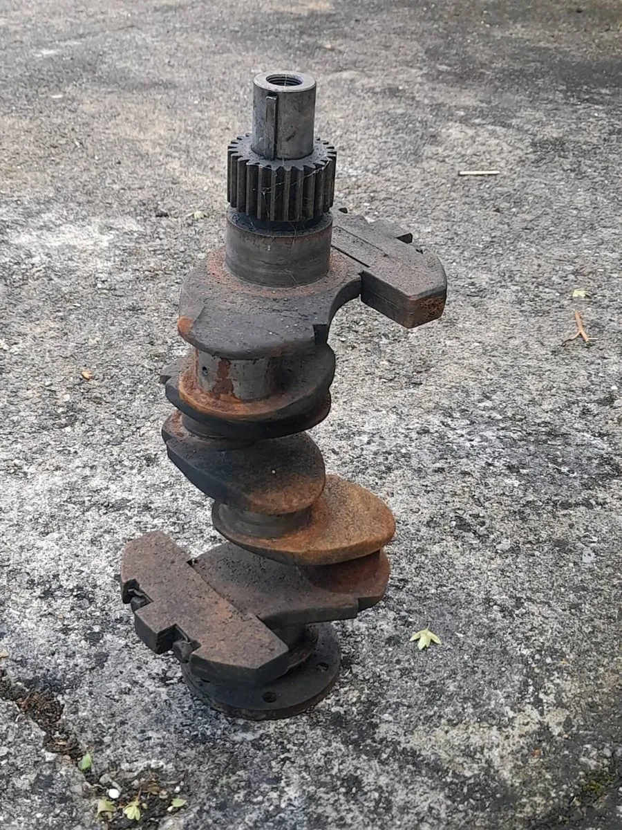 Dexta engine block + Crankshaft - Image 3