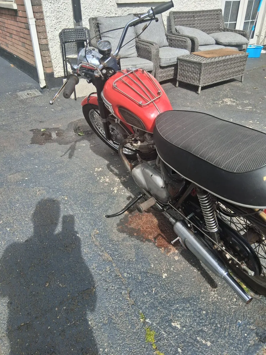 Triumph 1969 t100 - Image 4