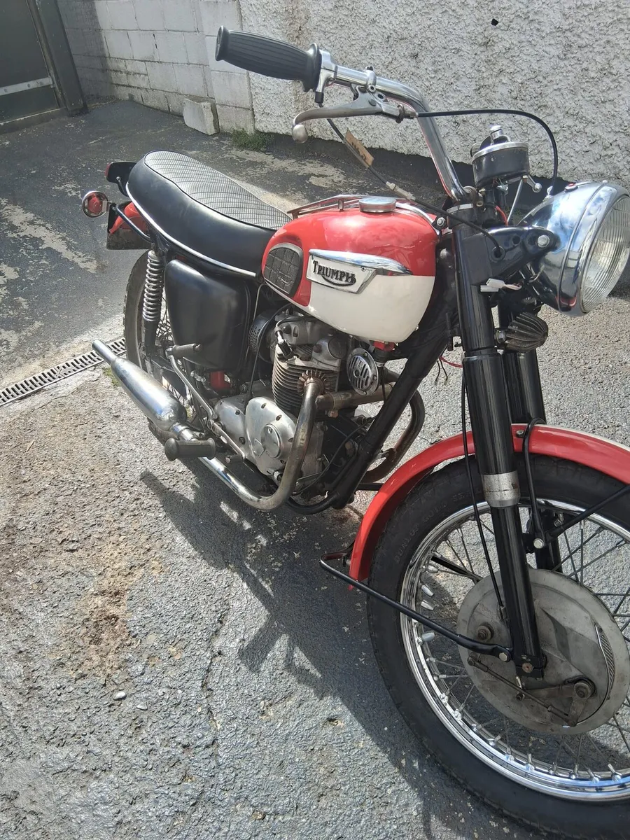 Triumph 1969 t100 - Image 2