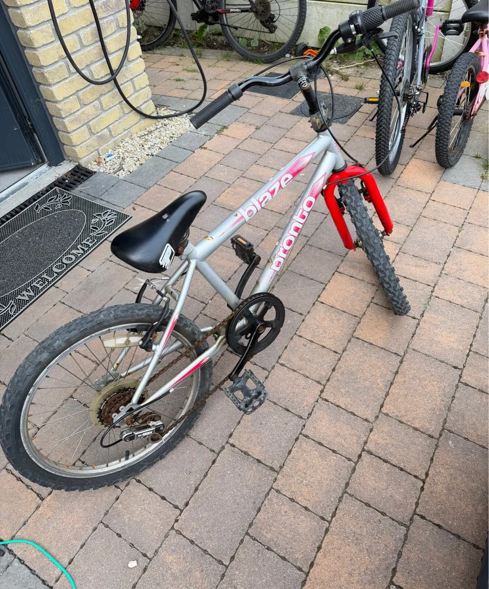 20” Bicycle - Image 1