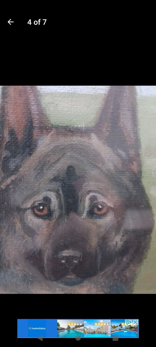 Antique R.A.V Hamilton Norwegian elkhounds oil pai - Image 2