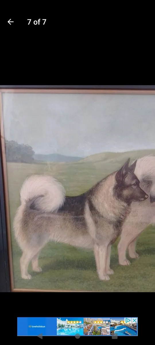 Antique R.A.V Hamilton Norwegian elkhounds oil pai - Image 4