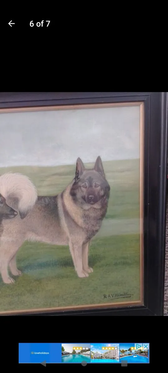 Antique R.A.V Hamilton Norwegian elkhounds oil pai - Image 3