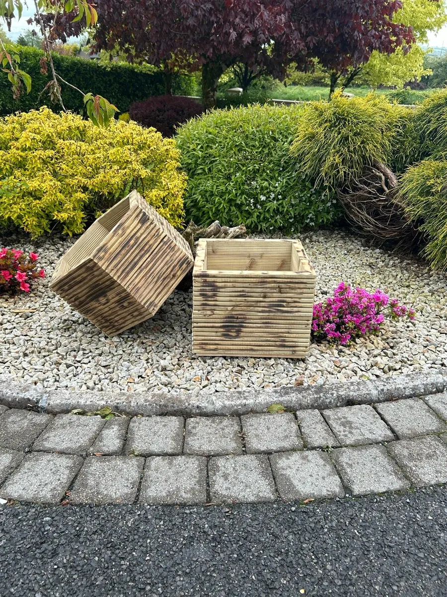 Garden boxes - Image 1