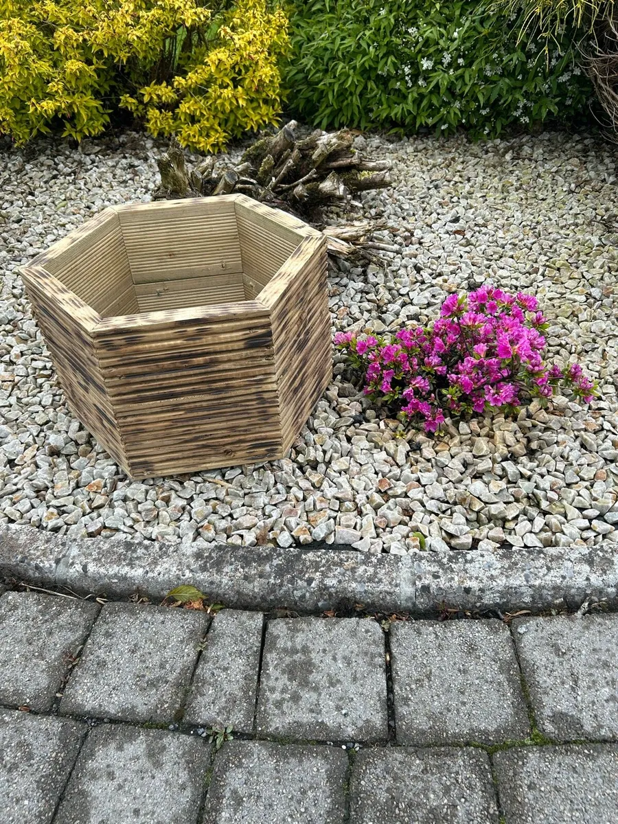 Garden boxes - Image 4