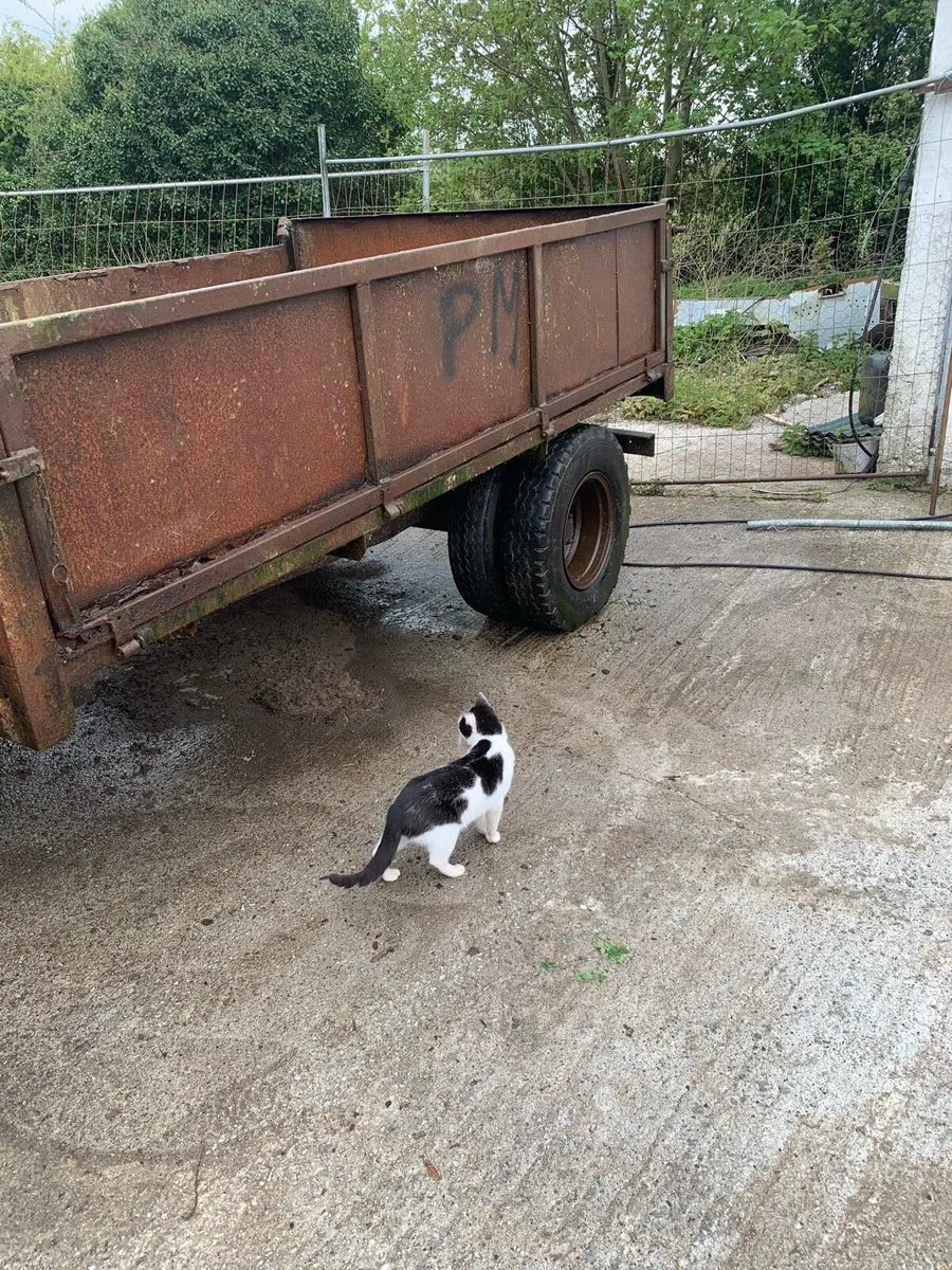 Tractor trailer - Image 1