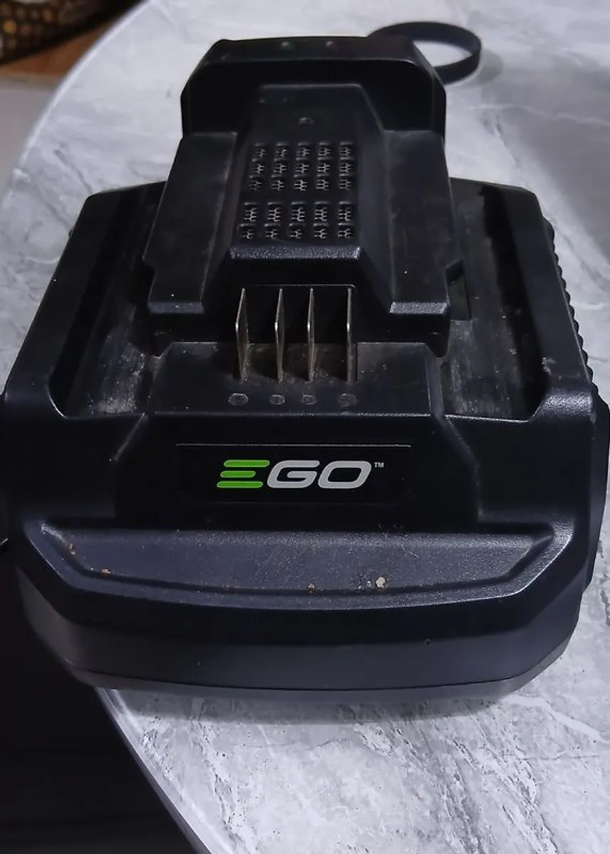Ego strimmer - Image 3
