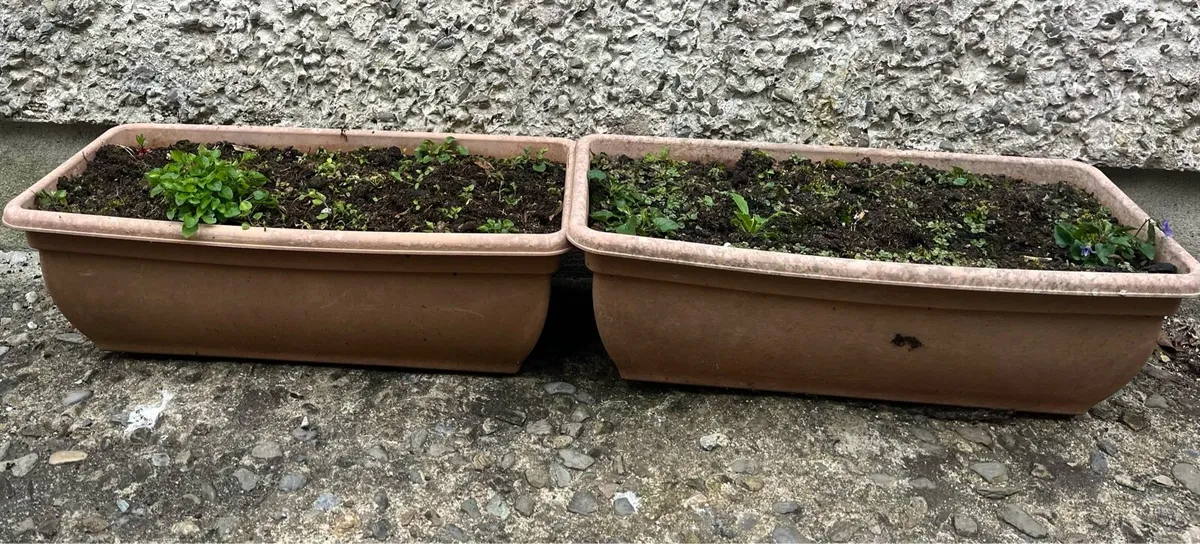 For sale two pots with soil - Image 1