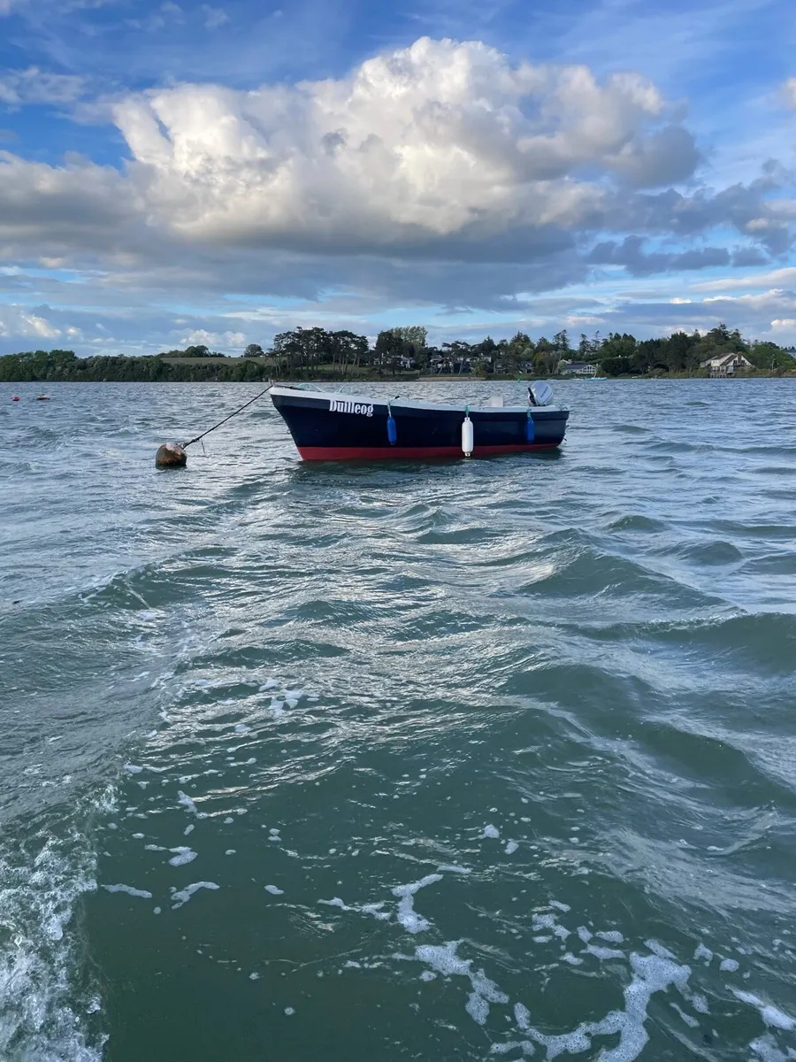 16.5ft open  boat with Honda 20hp 4 stroke - Image 1