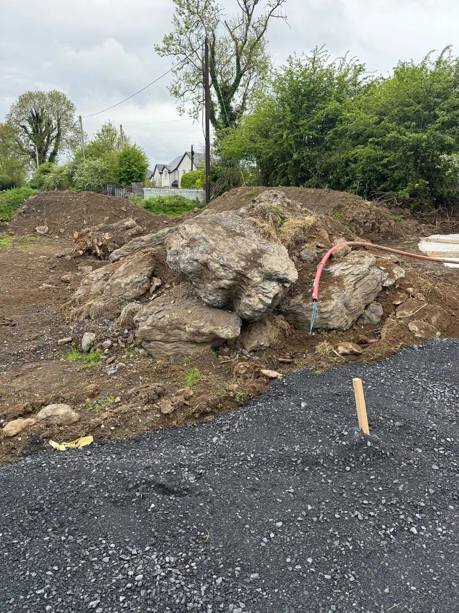 Limestone boulders - Image 2