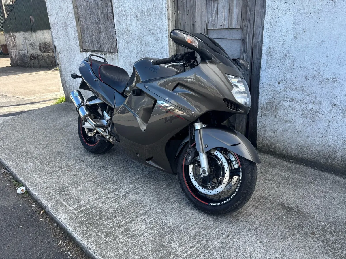 Honda CBR1100XX Black Bird - Image 2