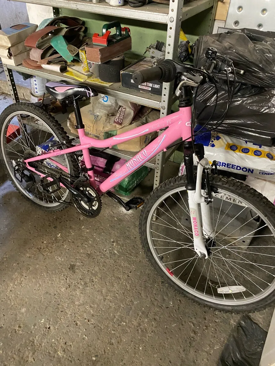 Girls bike - Image 2