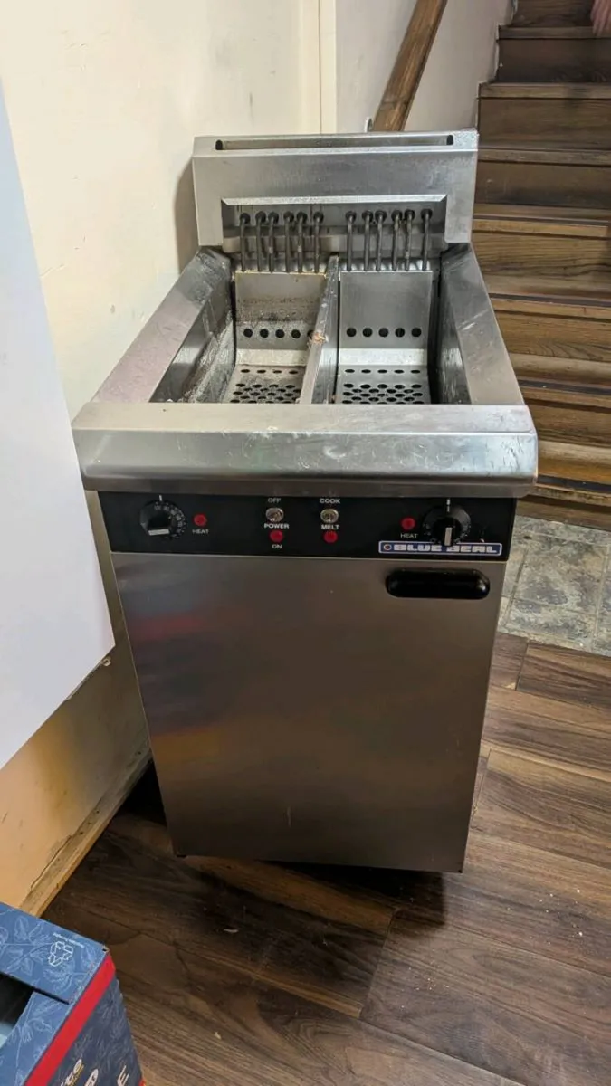 Electric Fryer and LPG Griddle - Image 1