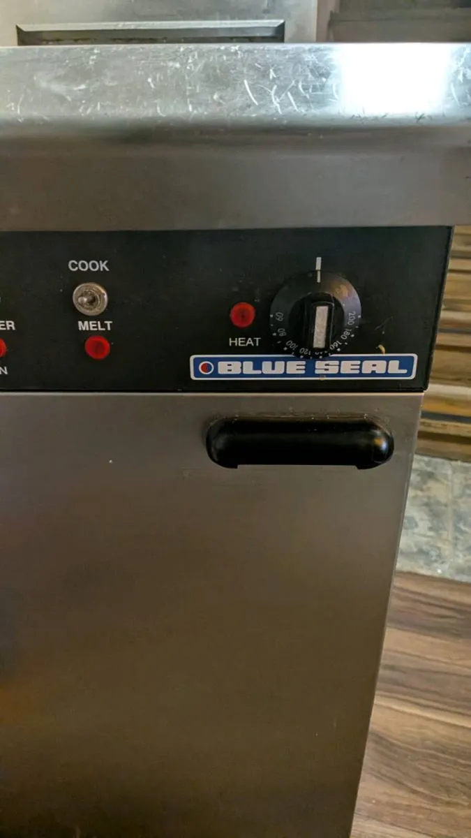 Electric Fryer and LPG Griddle - Image 2