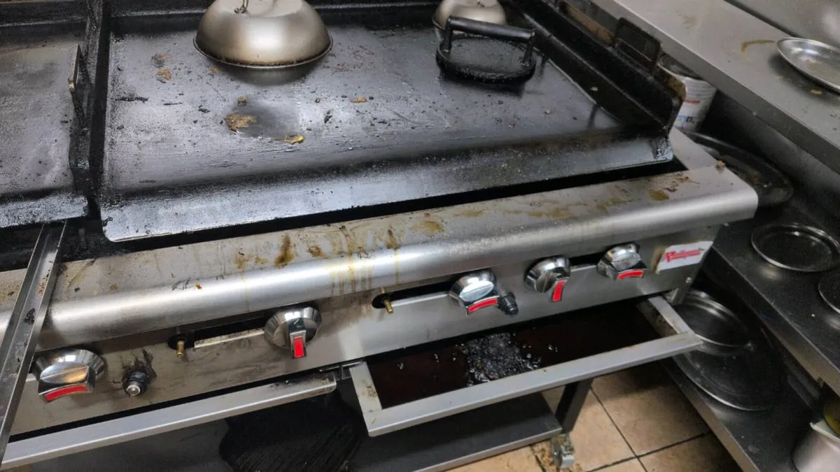 Electric Fryer and LPG Griddle - Image 4