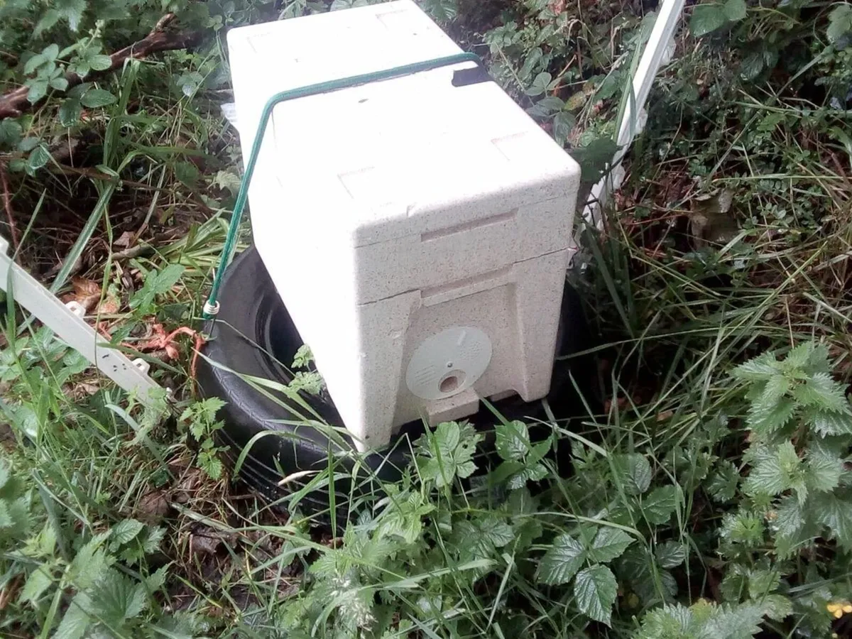 Nuc beehive of bees - Image 1