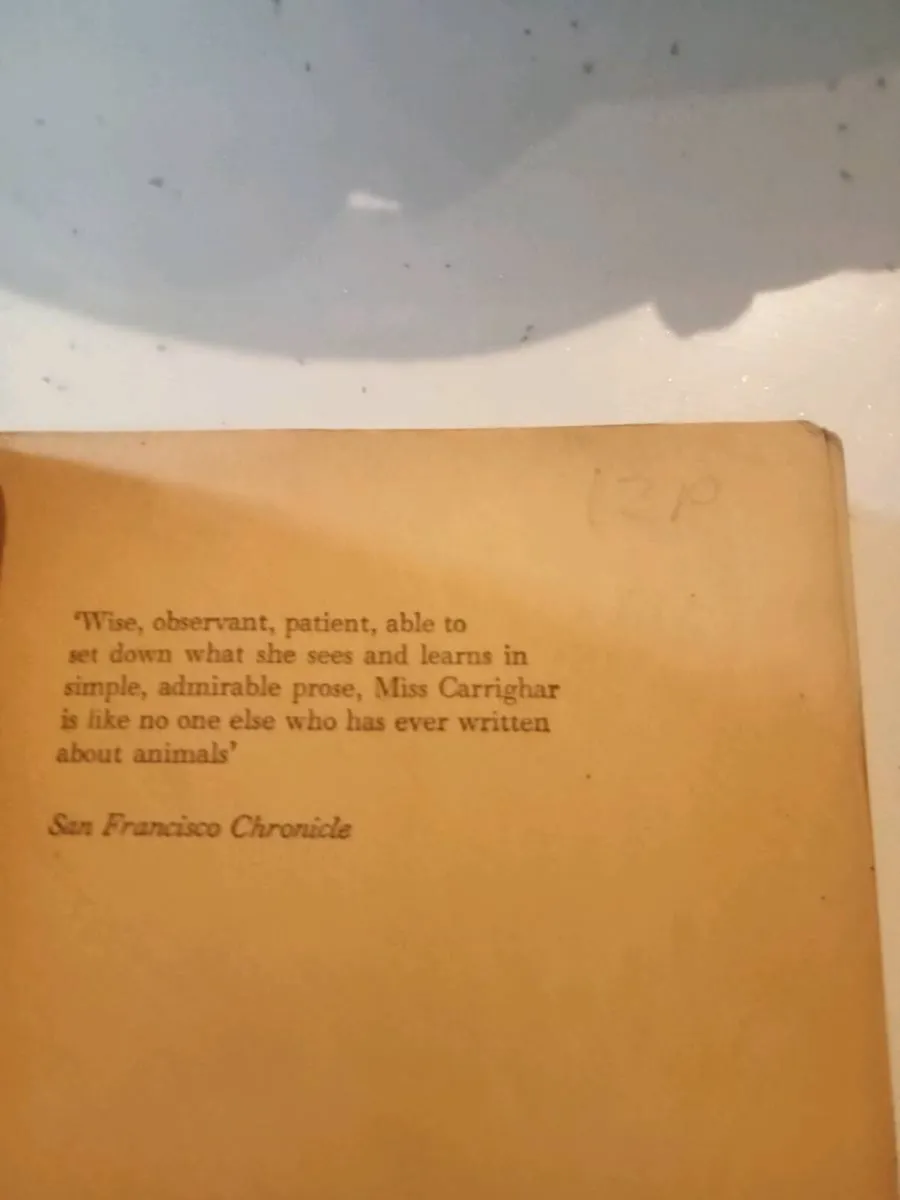 Old book - Image 2