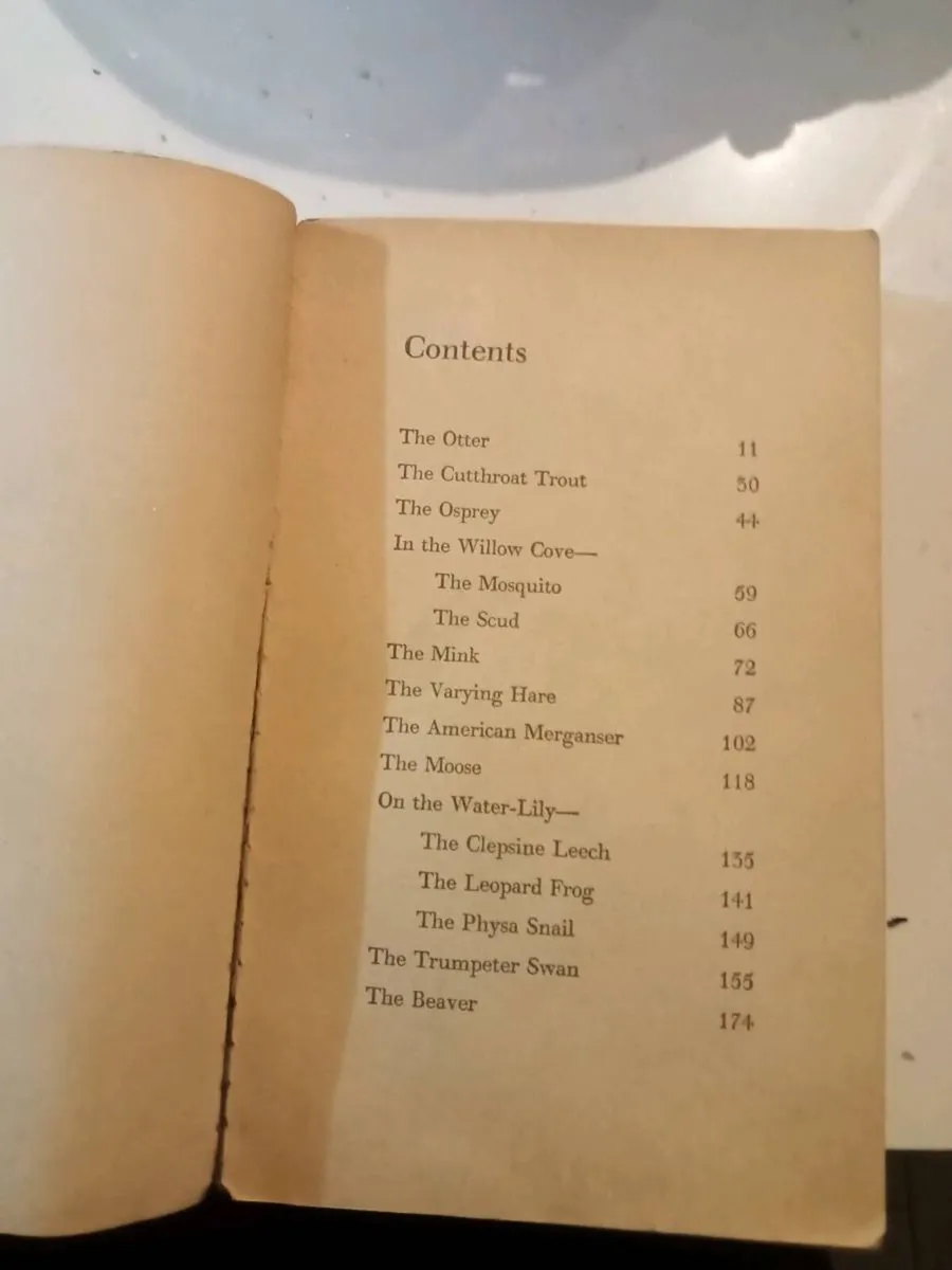 Old book - Image 3