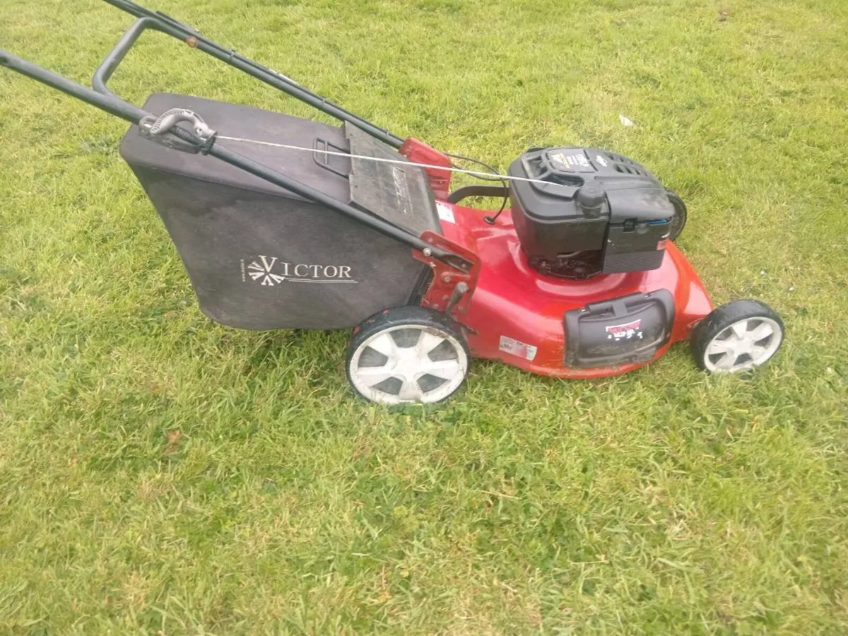 Lawnmowers - Image 4