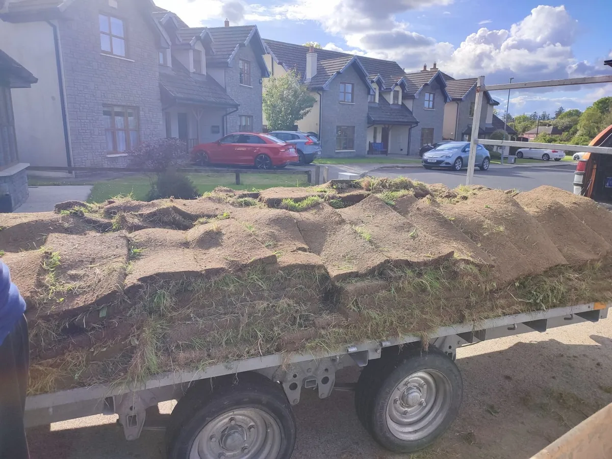 Lawn turf - Image 1