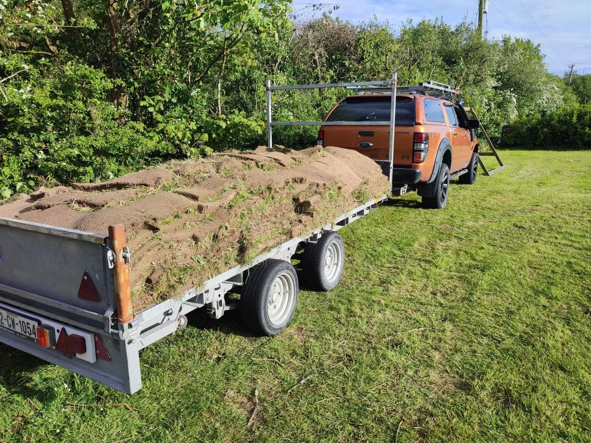 Lawn turf - Image 2