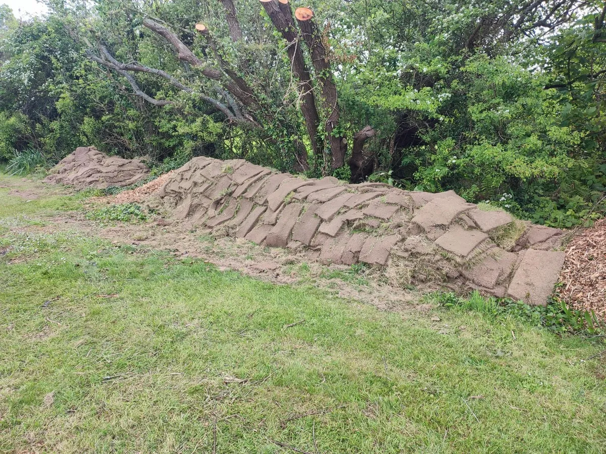 Lawn turf - Image 3