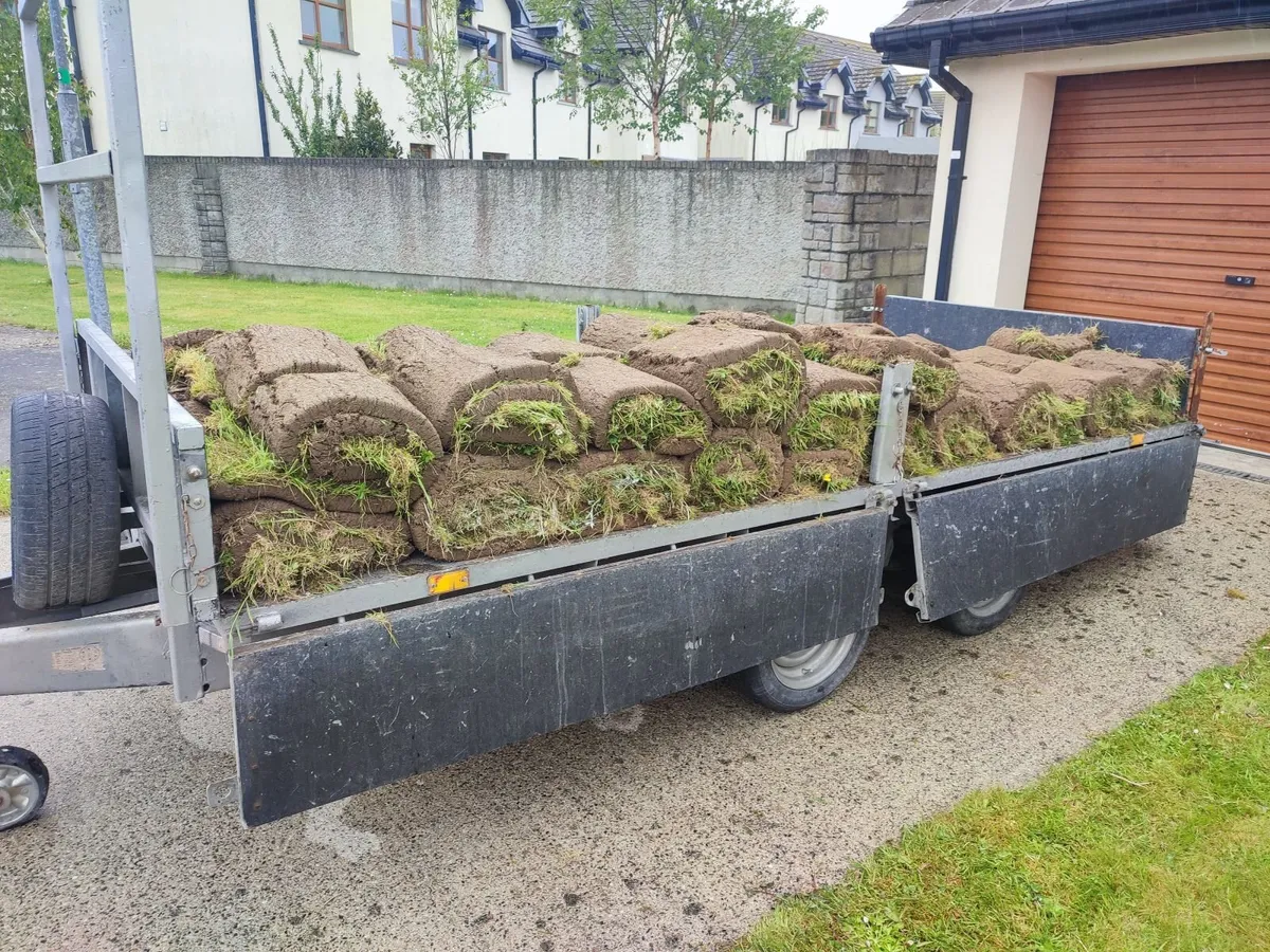 Lawn turf - Image 4