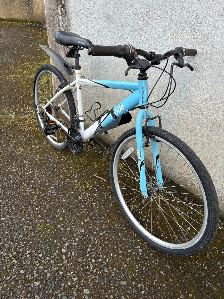 Men’s mountain bike - Image 2