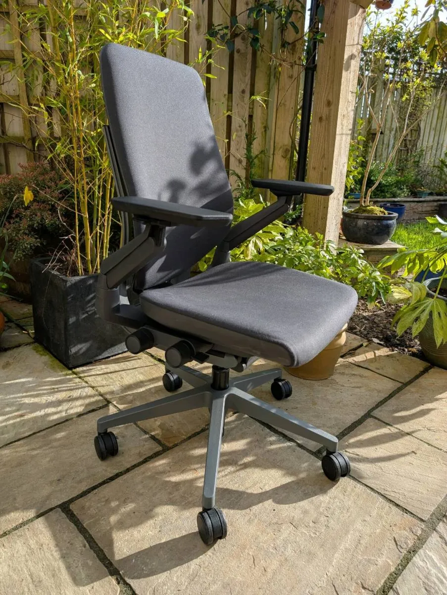 Ergonomic office chair - Image 1