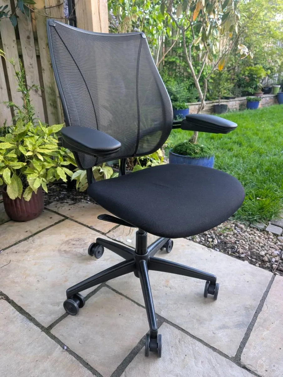 Ergonomic office chair - Image 1