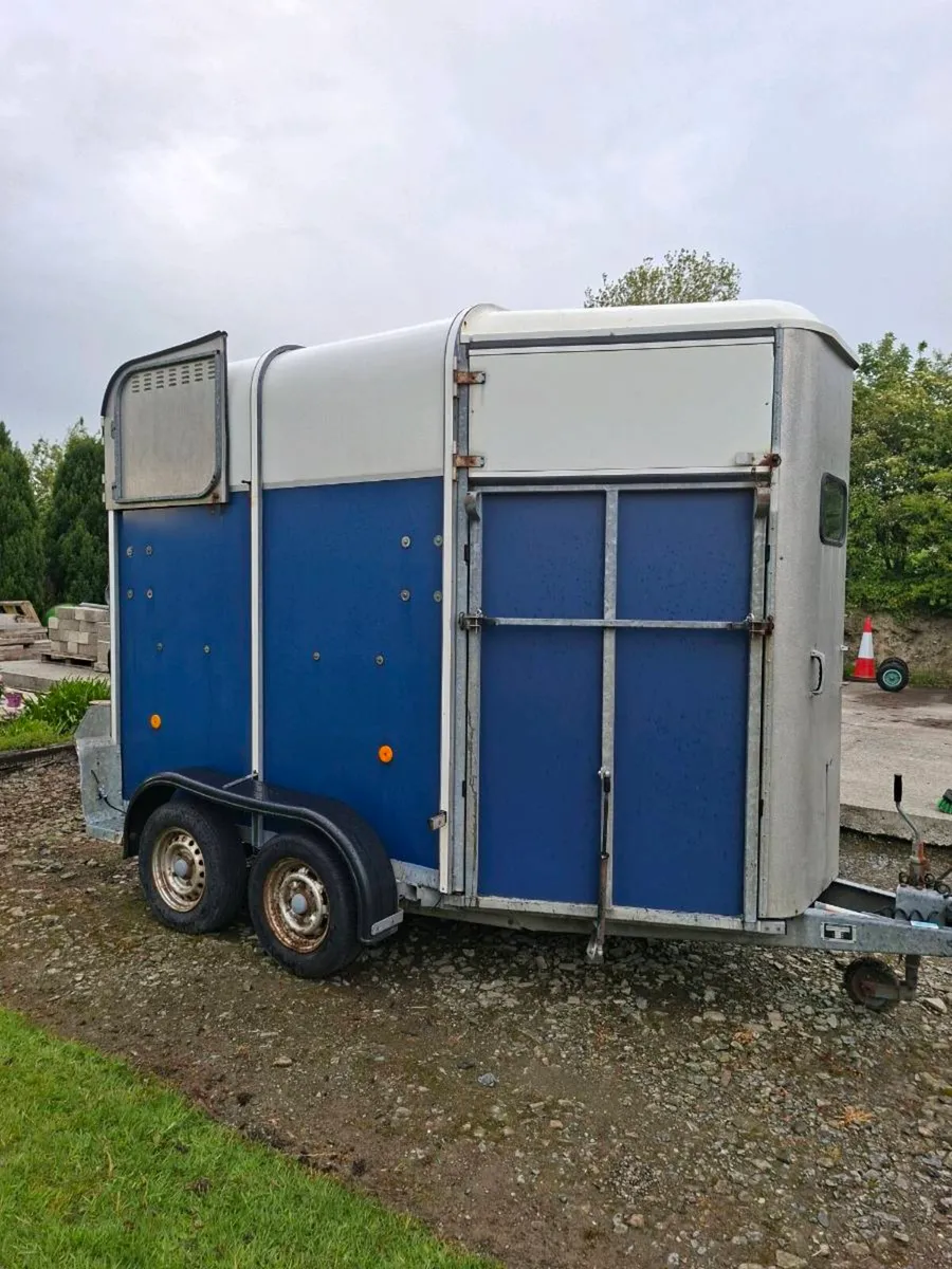 Ifor Williams 505 Hunter Horsebox - Image 2