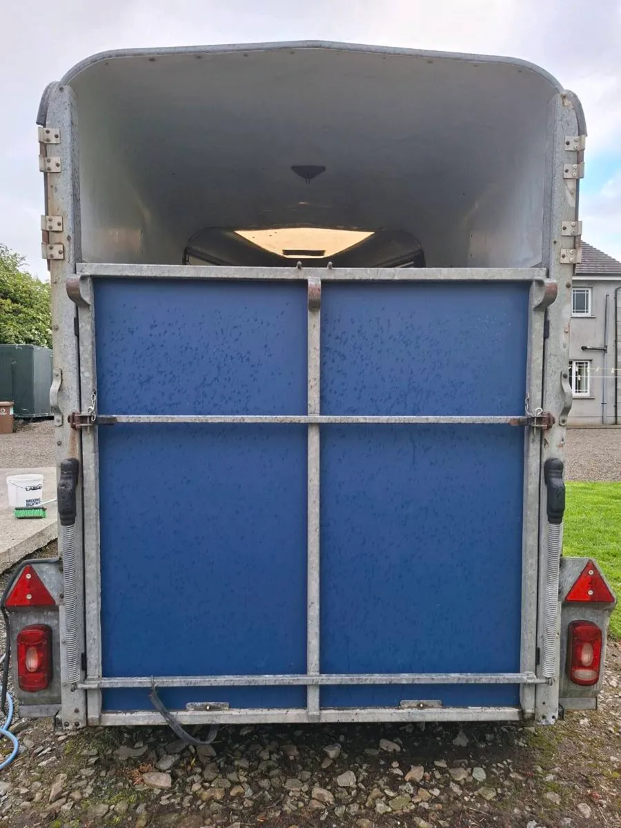 Ifor Williams 505 Hunter Horsebox - Image 4