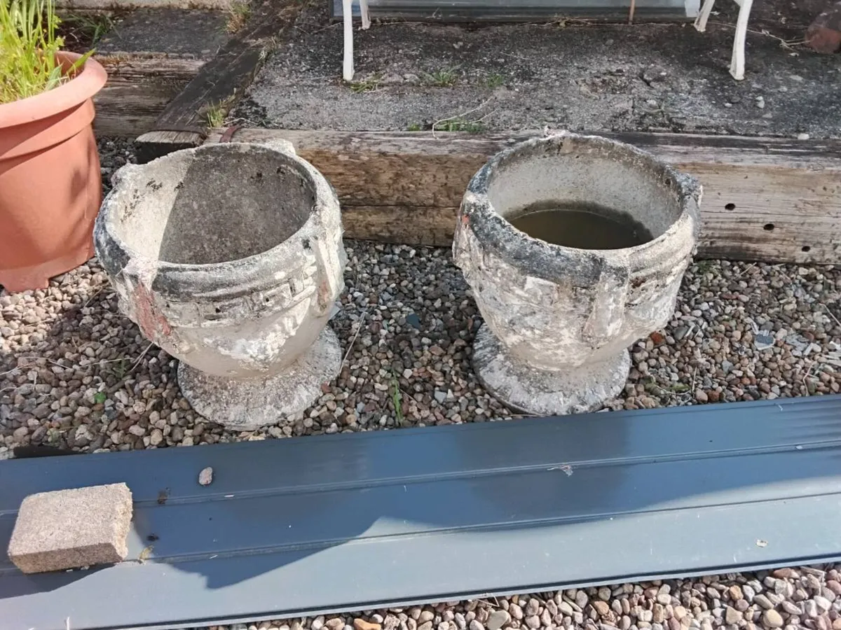 Concrete flower pots - Image 2