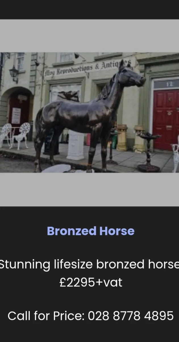 Horse - Image 2