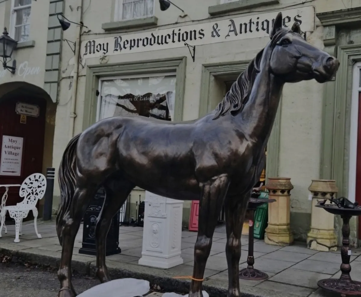 Horse - Image 1