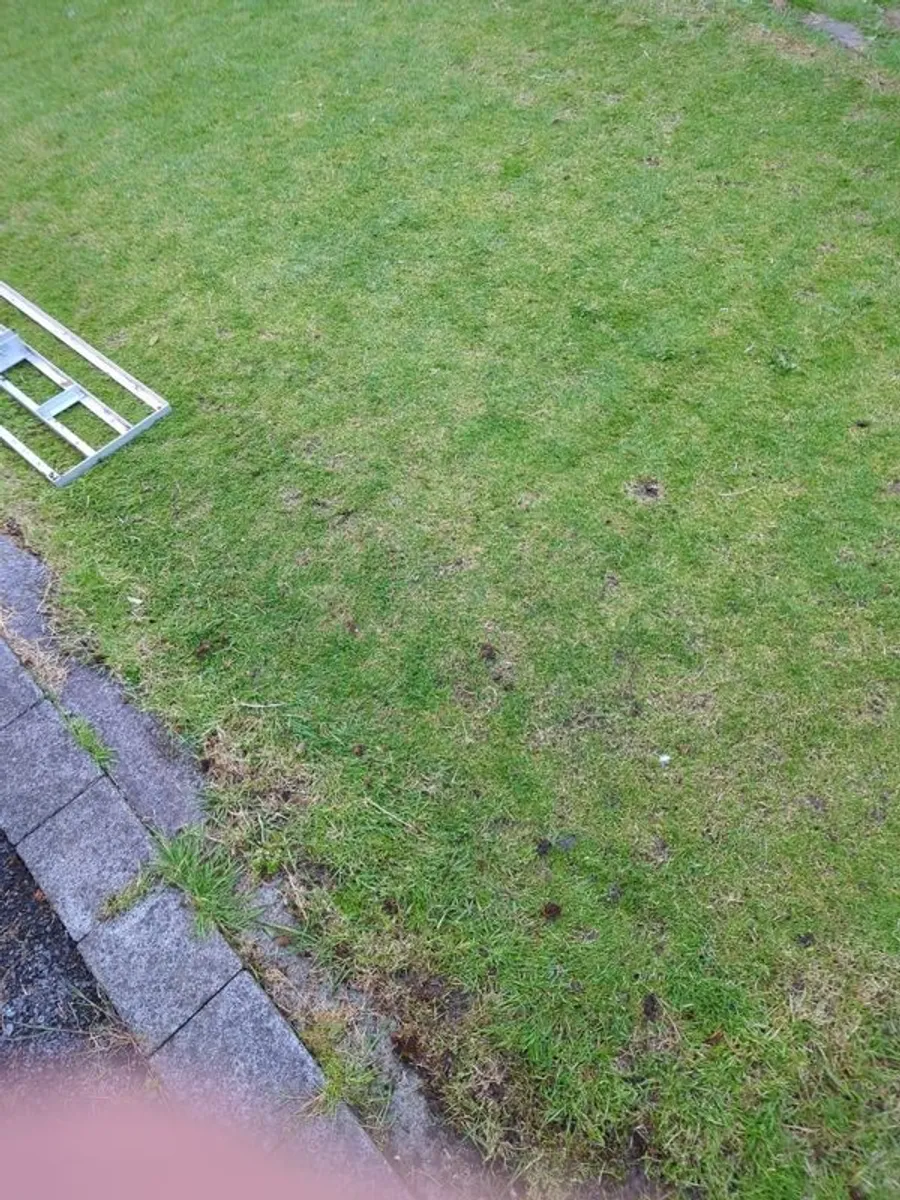 Mammotion Yuka mini robot mower - Image 1