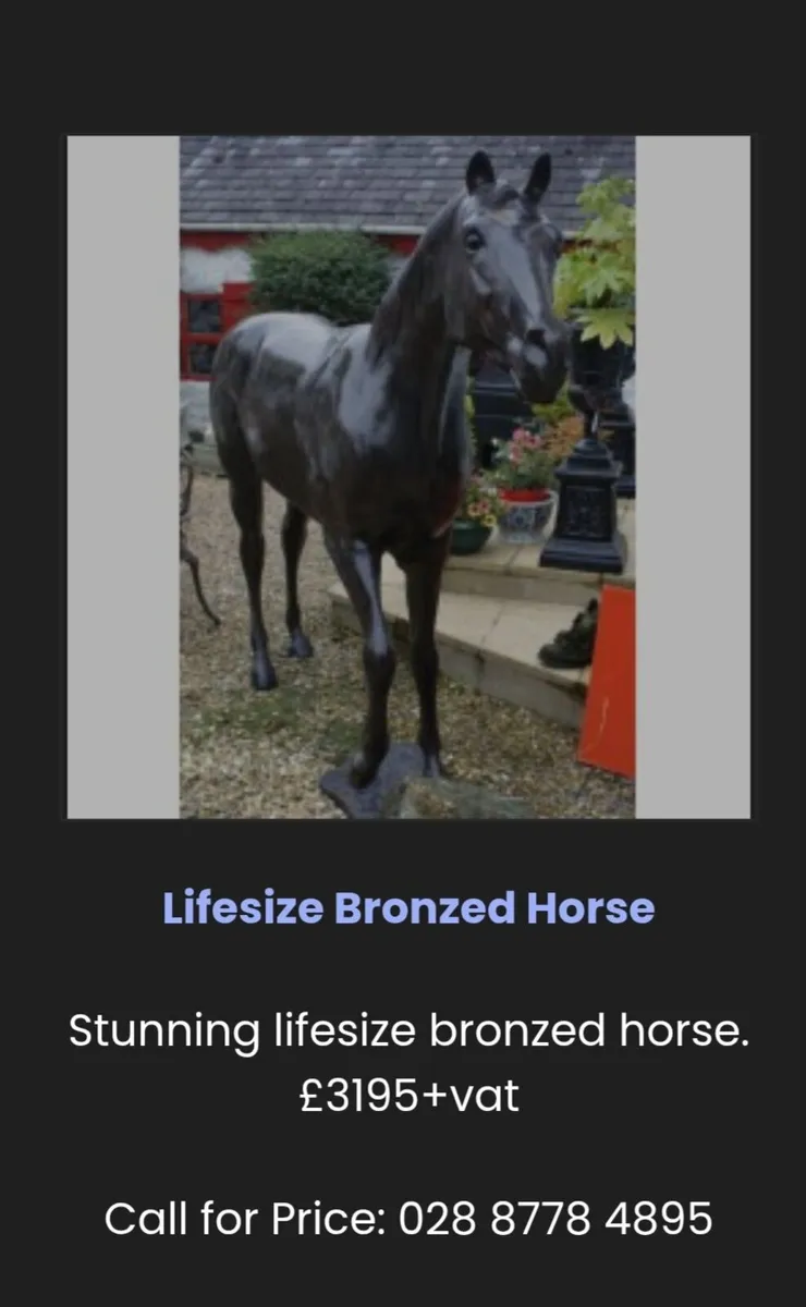 Horse - Image 2