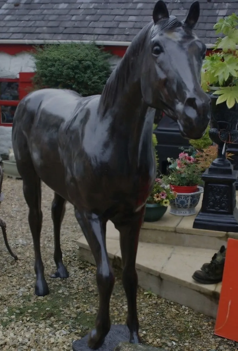 Horse - Image 1