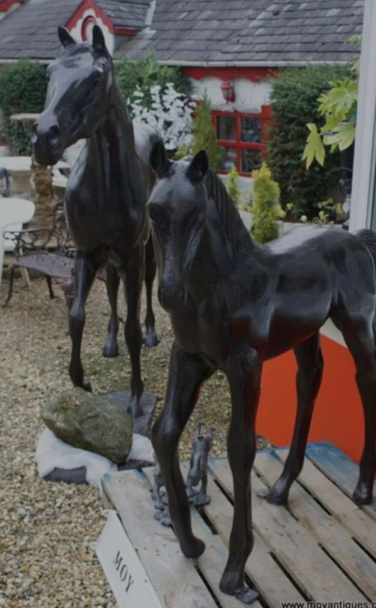 Horse - Image 4
