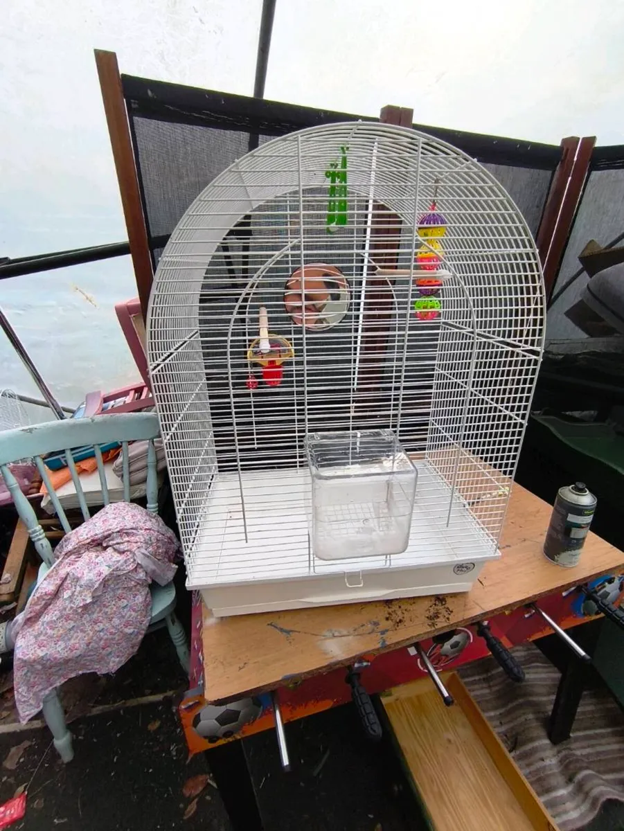 Beautiful large bird cage,small free 50 Euro - Image 3