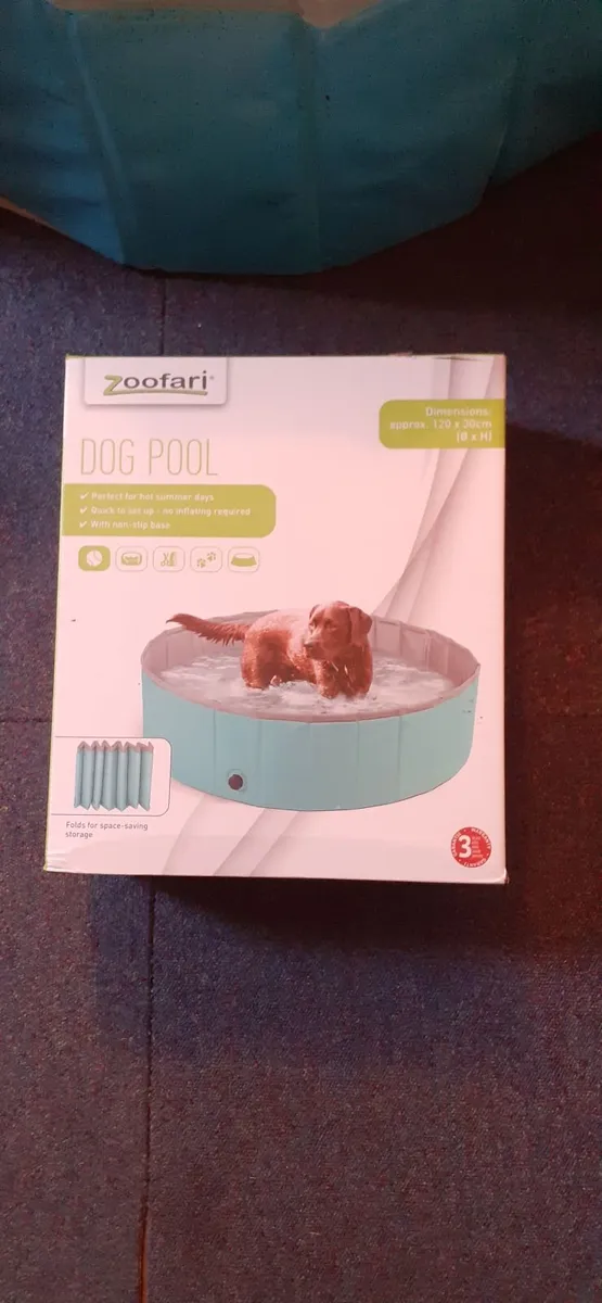 Swimming Pool -dogs–Zoofari Foldable - Image 1