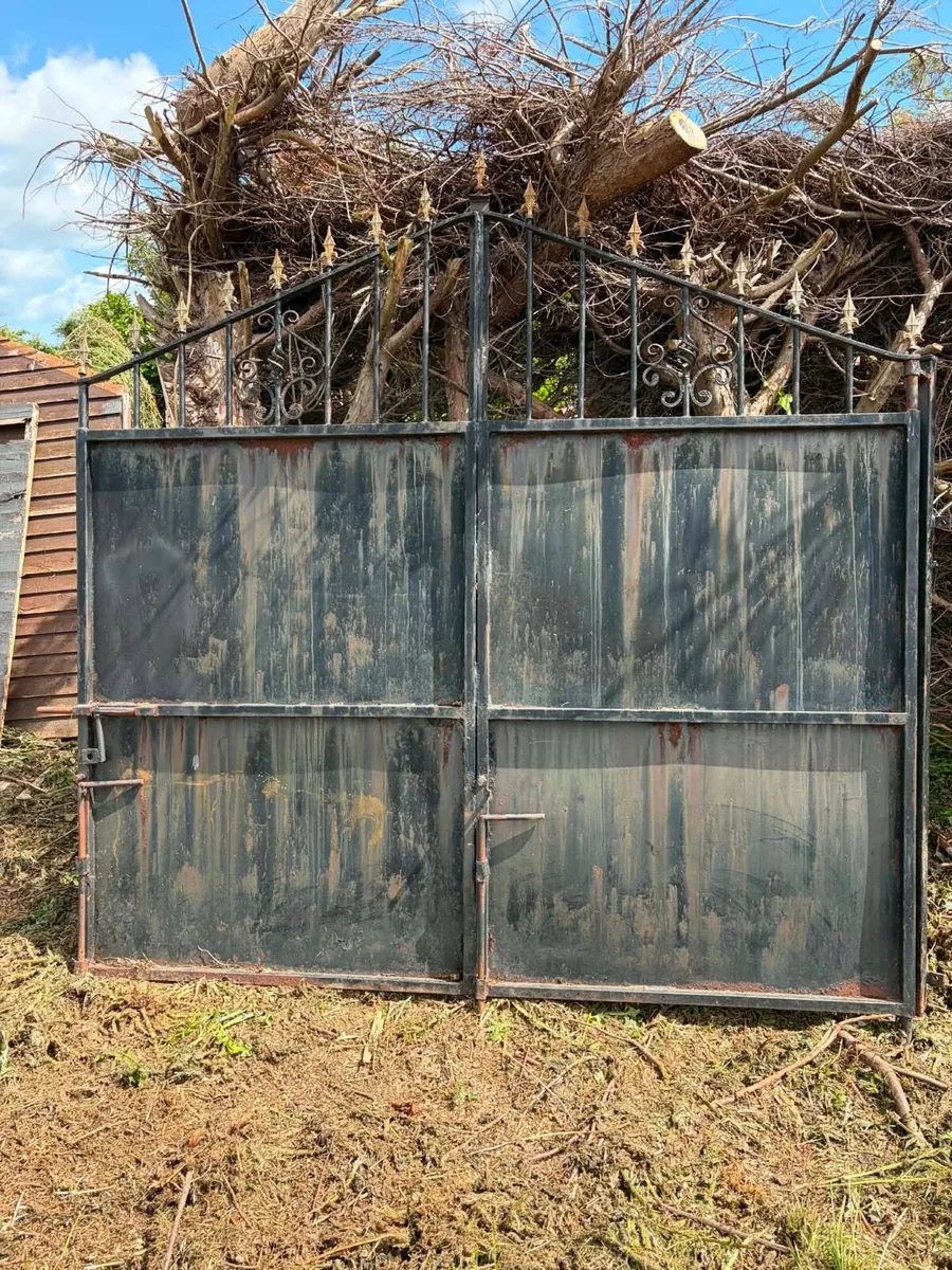 Garden gate cast iron gate - Image 1