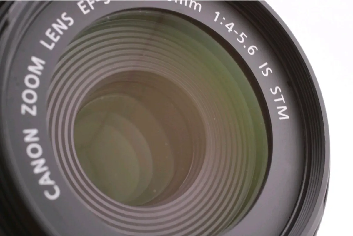 Canon EF-S 55-250mm f4-5.6 IS STM - Image 3