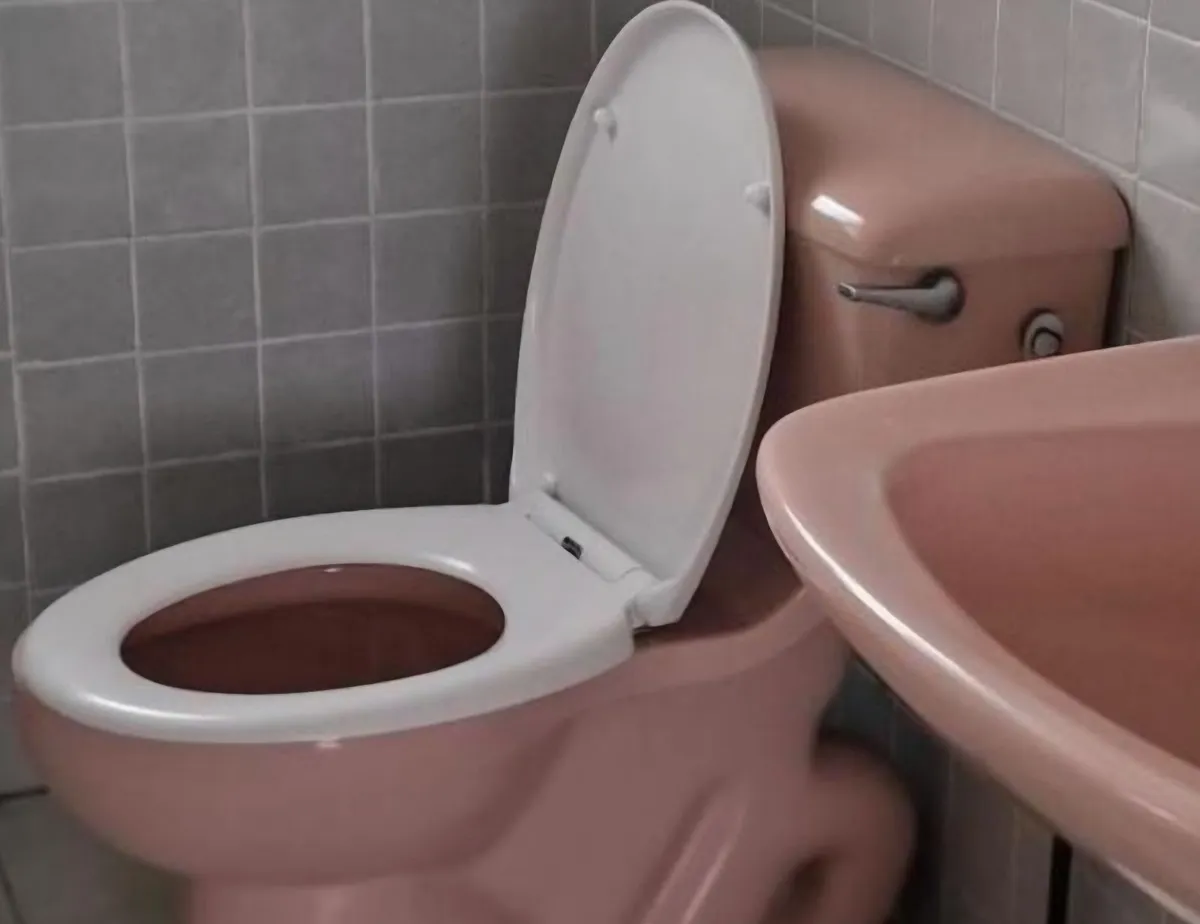 Rare Vintage 1967 Armitage Shanks Pink Bathroom - Image 1
