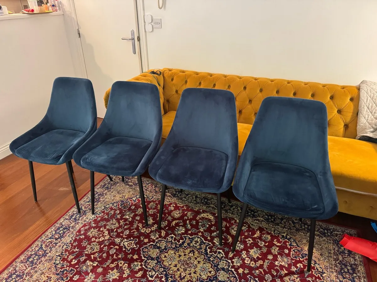 Blue velvet chairs x4 - Image 1