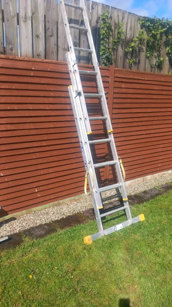 Werner ladder - Image 3